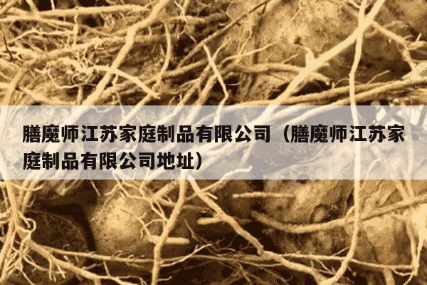 膳魔师江苏家庭制品有限公司（膳魔师江苏家庭制品有限公司地址）