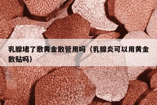 乳腺堵了敷黄金散管用吗（乳腺炎可以用黄金散贴吗）