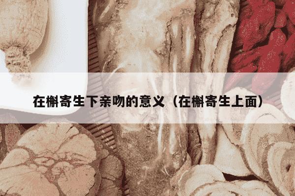 在槲寄生下亲吻的意义（在槲寄生上面）