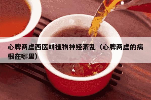 心脾两虚西医叫植物神经紊乱（心脾两虚的病根在哪里）