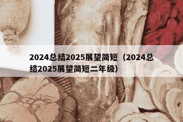 2024总结2025展望简短（2024总结2025展望简短二年级）
