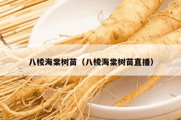 八棱海棠树苗（八棱海棠树苗直播）