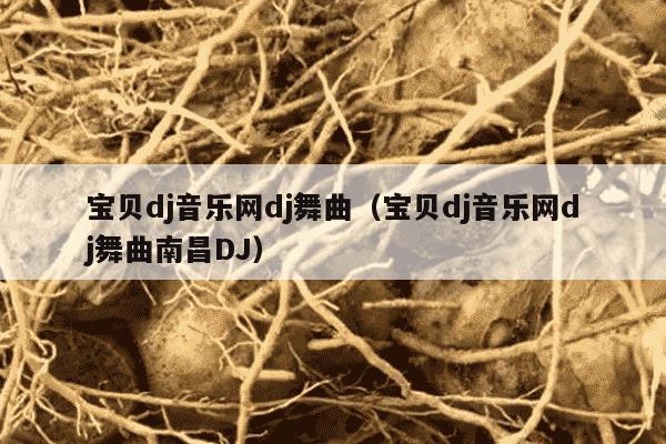 宝贝dj音乐网dj舞曲（宝贝dj音乐网dj舞曲南昌DJ）