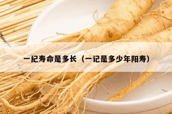 一纪寿命是多长（一记是多少年阳寿）