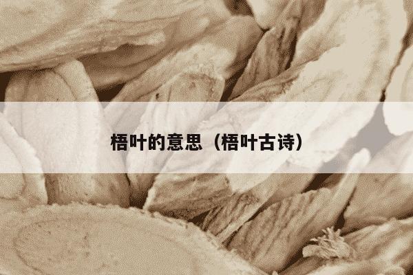 梧叶的意思（梧叶古诗）