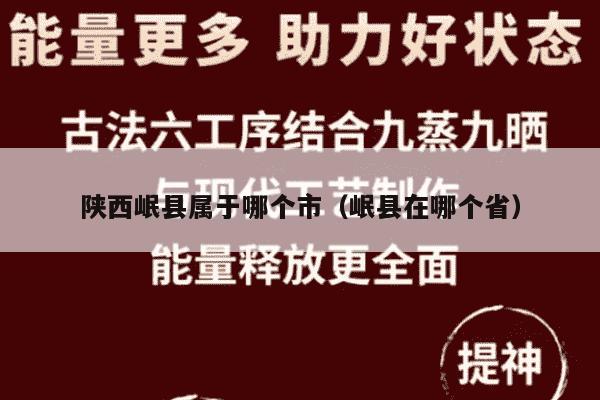 陕西岷县属于哪个市（岷县在哪个省）