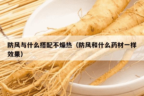 防风与什么搭配不燥热（防风和什么药材一样效果）
