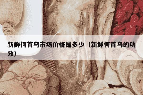 新鲜何首乌市场价格是多少（新鲜何首乌的功效）