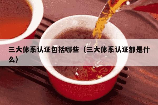 三大体系认证包括哪些（三大体系认证都是什么）