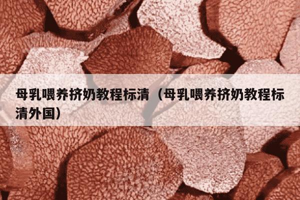母乳喂养挤奶教程标清（母乳喂养挤奶教程标清外国）