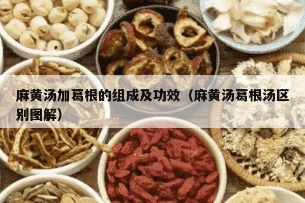 麻黄汤加葛根的组成及功效（麻黄汤葛根汤区别图解）