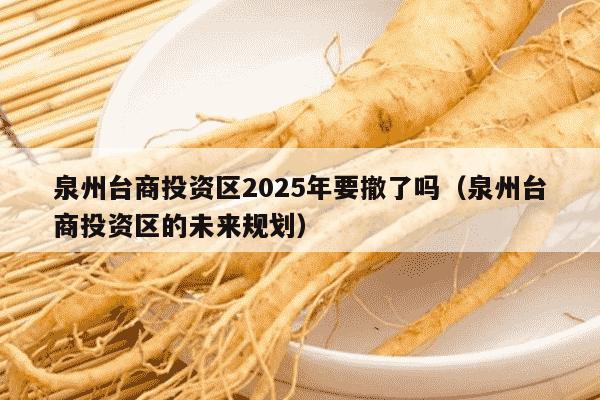 泉州台商投资区2025年要撤了吗（泉州台商投资区的未来规划）
