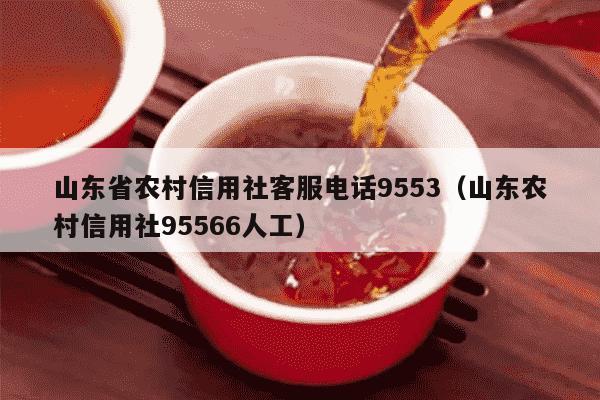 山东省农村信用社客服电话9553（山东农村信用社95566人工）