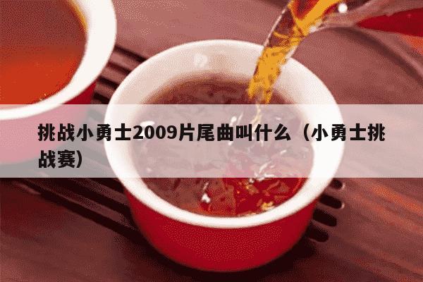 挑战小勇士2009片尾曲叫什么（小勇士挑战赛）