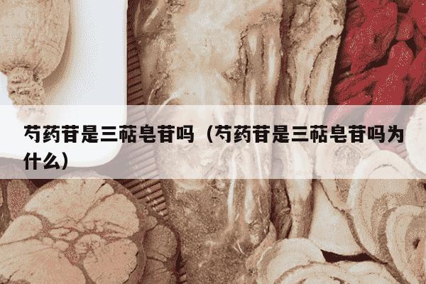 芍药苷是三萜皂苷吗（芍药苷是三萜皂苷吗为什么）