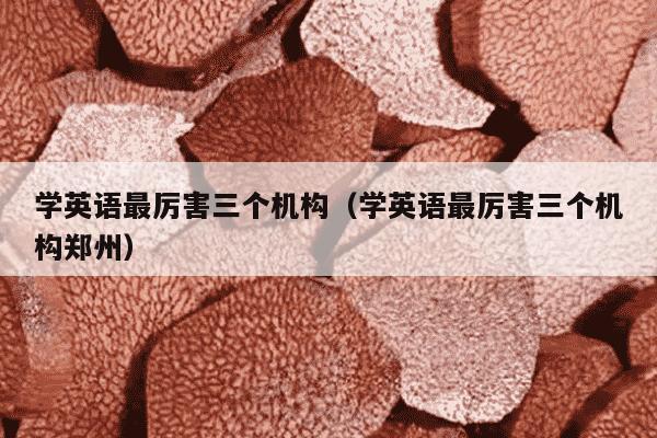 学英语最厉害三个机构（学英语最厉害三个机构郑州）