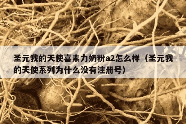 圣元我的天使喜素力奶粉a2怎么样（圣元我的天使系列为什么没有注册号）