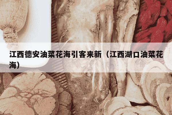 江西德安油菜花海引客来新（江西湖口油菜花海）