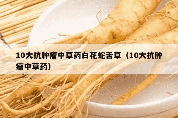 10大抗肿瘤中草药白花蛇舌草（10大抗肿瘤中草药）