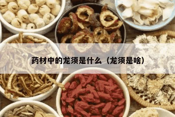 药材中的龙须是什么（龙须是啥）