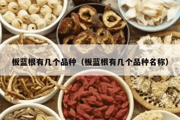 板蓝根有几个品种（板蓝根有几个品种名称）