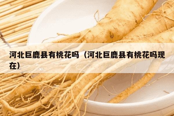 河北巨鹿县有桃花吗（河北巨鹿县有桃花吗现在）