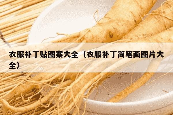 衣服补丁贴图案大全（衣服补丁简笔画图片大全）
