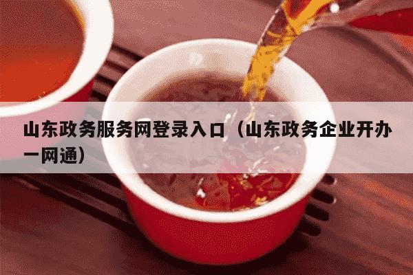山东政务服务网登录入口（山东政务企业开办一网通）