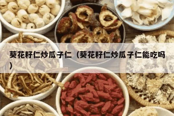 葵花籽仁炒瓜子仁（葵花籽仁炒瓜子仁能吃吗）
