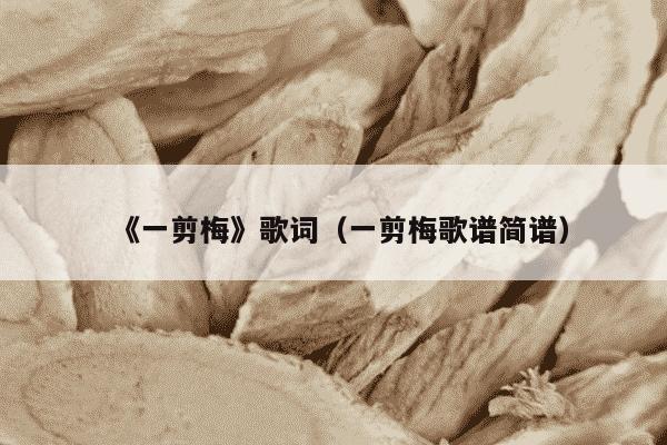 《一剪梅》歌词（一剪梅歌谱简谱）