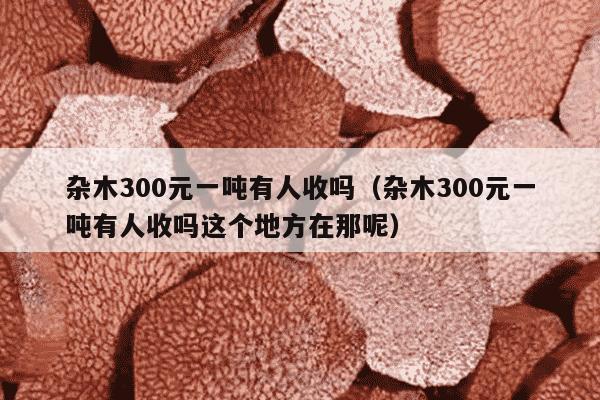 杂木300元一吨有人收吗（杂木300元一吨有人收吗这个地方在那呢）