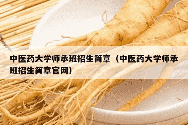 中医药大学师承班招生简章（中医药大学师承班招生简章官网）