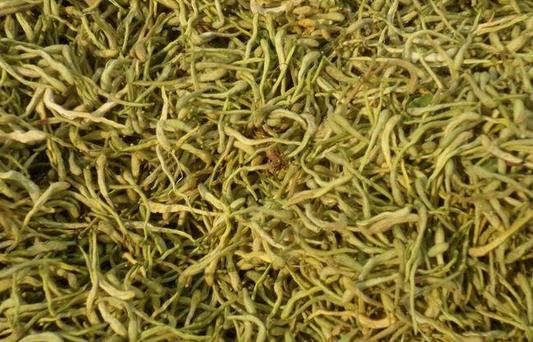 金银花怎样采收?金银花采收时间有讲究