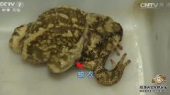 [¸]׬Ǯ