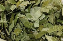 中草药淫羊藿因何被称为天然‘伟哥’ 还有这功功效