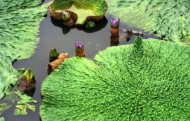ʵʲôʱ֣ʵֺã
