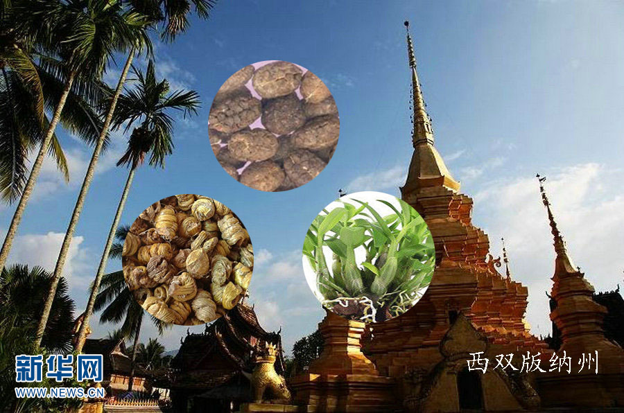 “云药之乡”绘制云南“道地药材地图”