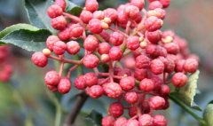 <b>ڻ۸Ϊʲôǣ2018껨</b>