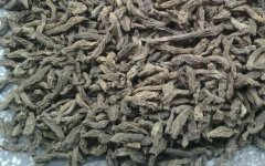 <b>玄参多少钱一斤？2019玄参价格能突破低迷多年的行情吗？</b>