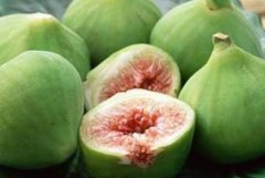 <b>鲜无花果怎样储存保鲜时间长？</b>