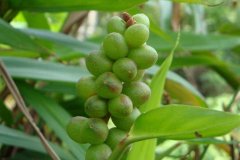 <b>2020Ǽ۸鲻ֹ</b>