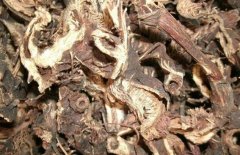 未来价格行情看好的药材品种有哪些？