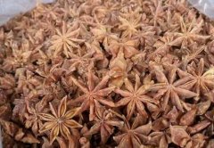 一夜之间火了的八角茴香，后市价格仍有继续上升趋势！