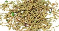 金银花价格疲软，后期金银花行情能否跌至120元？