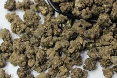 <b>猫爪草最新价格多少钱一斤，市场行情为何频繁波动？</b>