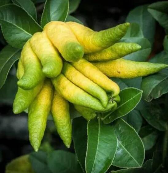 <b>鴦ʮ·ڣδ۸ƽΣ</b>