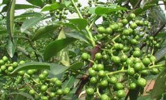 ں,໨۸10%!