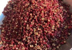 3月份花椒价格行情：红花椒稳中有落！青花椒疲软！