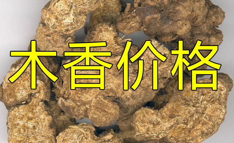 <b>Ĵƽľ۸</b>