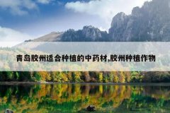 <b>�ൺ�����ʺ���ֲ����ҩ��,������ֲ����</b>